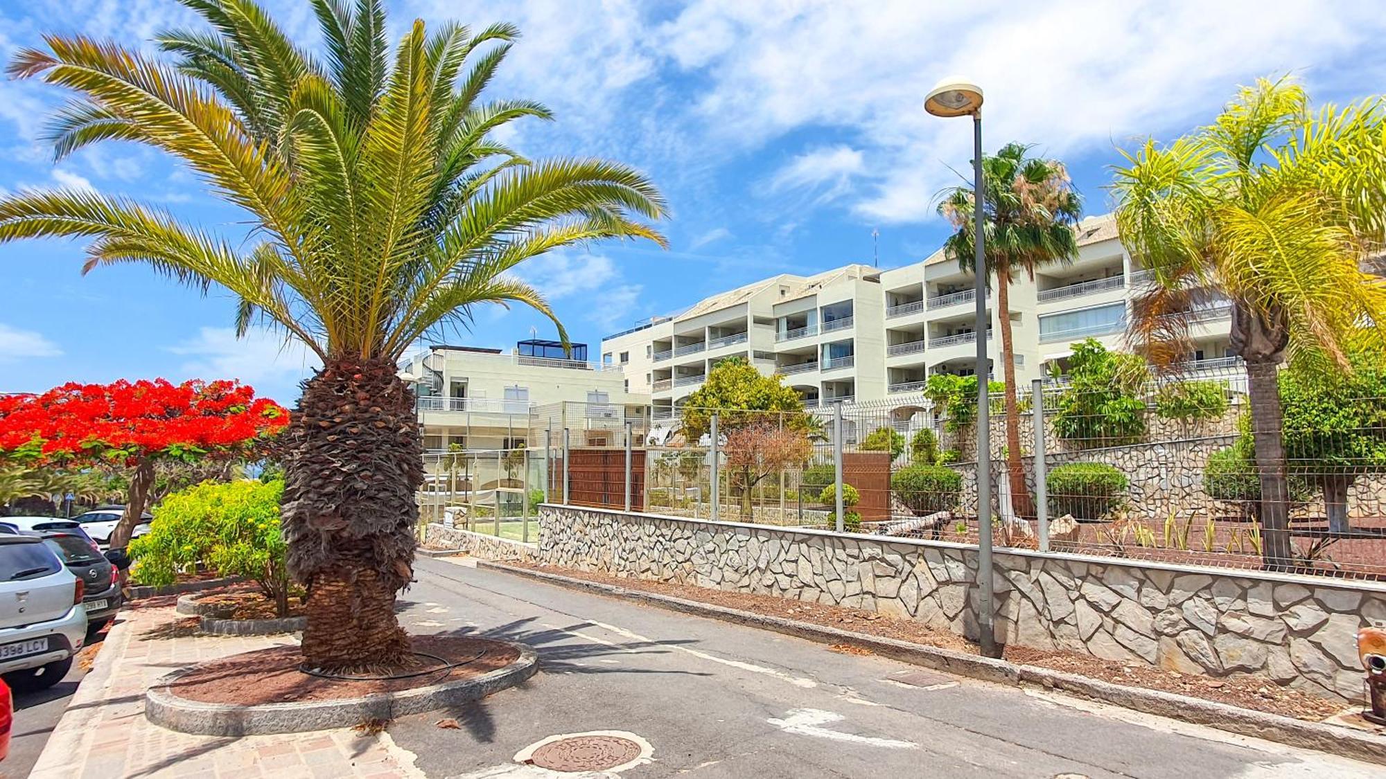 شقة Terraza Sea & Sun بالم مار المظهر الخارجي الصورة
