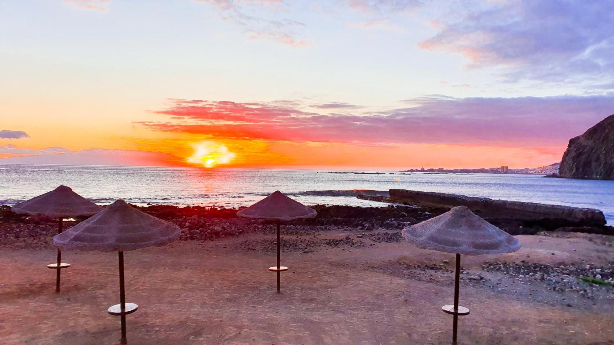 شقة Terraza Sea & Sun بالم مار المظهر الخارجي الصورة