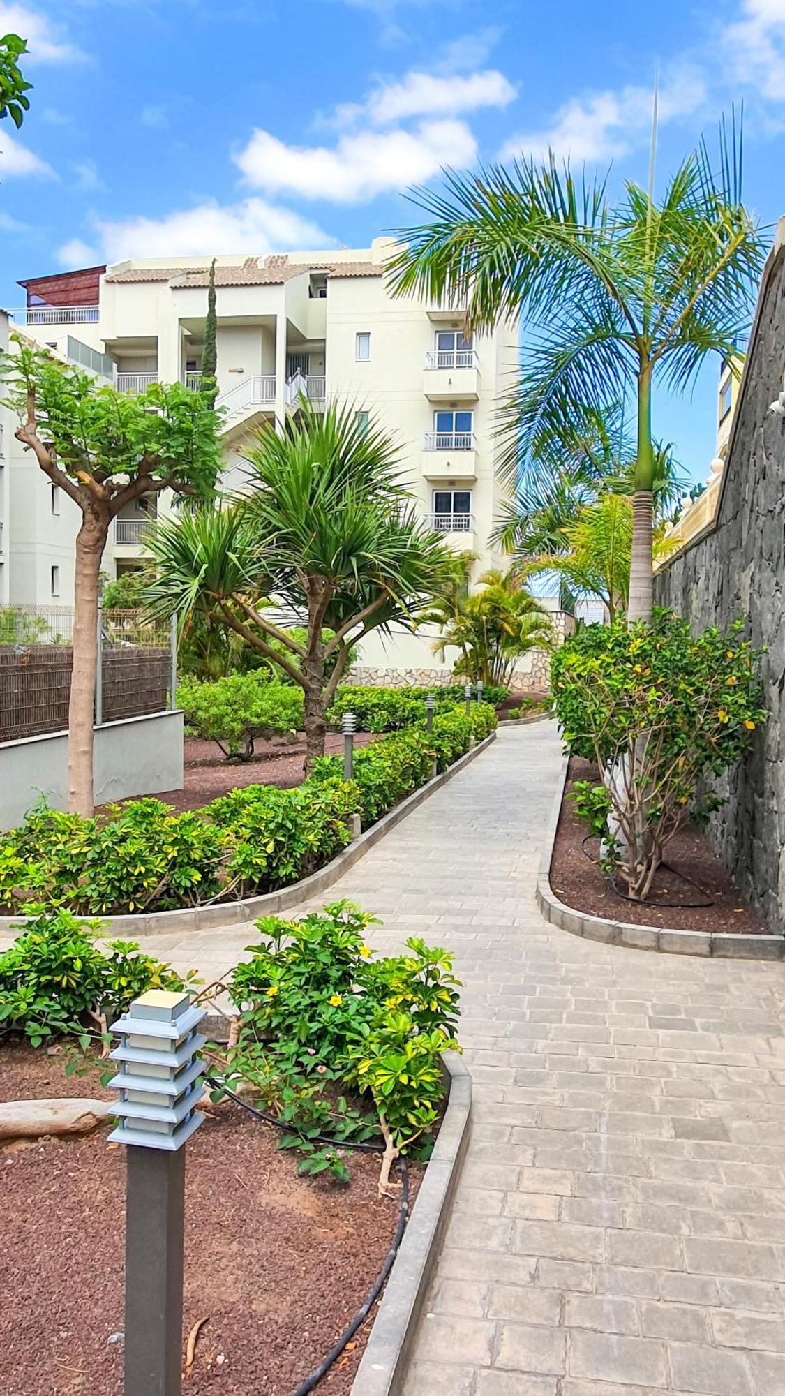 شقة Terraza Sea & Sun بالم مار المظهر الخارجي الصورة